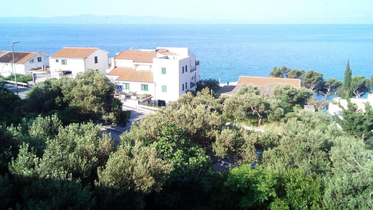 Apartment Mitan